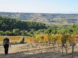  <a style='color: #fff;' href='/uploaded/photo/cave-de-seguret-617ac2b6882e0.jpg'>(Télécharger)</a>