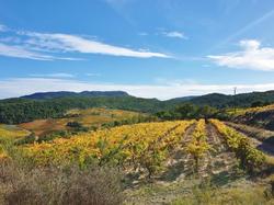  <a style='color: #fff;' href='/uploaded/photo/cave-de-seguret-617ac2b706d9e.jpg'>(Télécharger)</a>