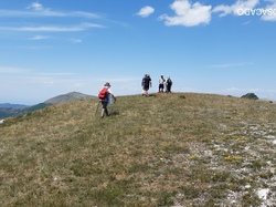  <a style='color: #fff;' href='/uploaded/photo/chalancon-62a0c1d51e193.jpg'>(Télécharger)</a>