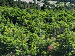  <a style='color: #fff;' href='/uploaded/photo/challenge-y-ty-2024-66c38408985bf.jpg'>(Télécharger)</a>