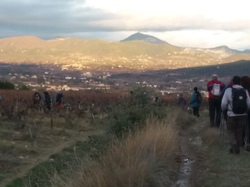  <a style='color: #fff;' href='/uploaded/photo/chapelle-st-siffrein-65856db9ac998.jpg'>(Télécharger)</a>