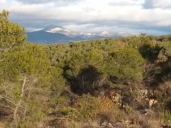  <a style='color: #fff;' href='/uploaded/photo/chapelle-st-siffrein-65856e3e91b3b.jpg'>(Télécharger)</a>