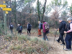  <a style='color: #fff;' href='/uploaded/photo/chapelle-st-siffrein-65856f1065d48.jpg'>(Télécharger)</a>