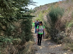  <a style='color: #fff;' href='/uploaded/photo/chateauneuf-de-bordette-65fd4d756c28b.jpg'>(Télécharger)</a>