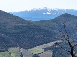  <a style='color: #fff;' href='/uploaded/photo/chateauneuf-de-bordette-65fd4d86bc072.jpg'>(Télécharger)</a>