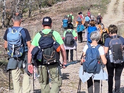  <a style='color: #fff;' href='/uploaded/photo/chateauneuf-de-bordette-65fd4d91bc9b2.jpg'>(Télécharger)</a>