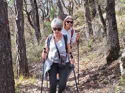  <a style='color: #fff;' href='/uploaded/photo/chateauneuf-de-bordette-65fd4d946784f.jpg'>(Télécharger)</a>