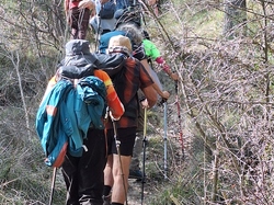  <a style='color: #fff;' href='/uploaded/photo/chateauneuf-de-bordette-65fd4d95a3341.jpg'>(Télécharger)</a>