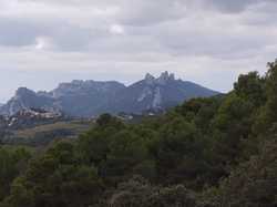  <a style='color: #fff;' href='/uploaded/photo/col-de-chaine-671142c24361f.jpg'>(Télécharger)</a>