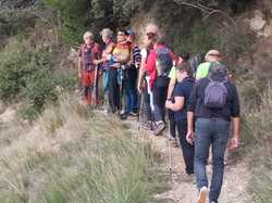  <a style='color: #fff;' href='/uploaded/photo/col-de-chaine-671142c396330.jpg'>(Télécharger)</a>