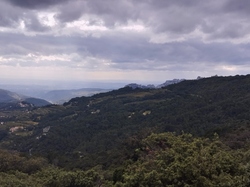  <a style='color: #fff;' href='/uploaded/photo/col-de-chaine-671142c41bbca.jpg'>(Télécharger)</a>