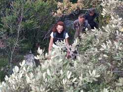  <a style='color: #fff;' href='/uploaded/photo/col-de-chaine-671142c47014d.jpg'>(Télécharger)</a>