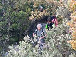  <a style='color: #fff;' href='/uploaded/photo/col-de-chaine-671142c4a5845.jpg'>(Télécharger)</a>