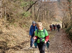  <a style='color: #fff;' href='/uploaded/photo/col-de-fontaube-665m-65bbc658f2311.jpg'>(Télécharger)</a>