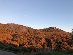  <a style='color: #fff;' href='/uploaded/photo/col-de-propiac-675db2c29d871.jpg'>(Télécharger)</a>