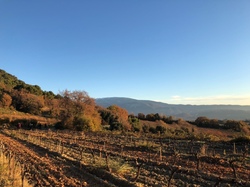  <a style='color: #fff;' href='/uploaded/photo/col-de-propiac-675db2c2aca19.jpg'>(Télécharger)</a>