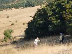  <a style='color: #fff;' href='/uploaded/photo/col-du-perty-689e4c4196ef9.jpg'>(Télécharger)</a>