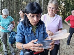  <a style='color: #fff;' href='/uploaded/photo/colonzelle-6723ed19876c7.jpg'>(Télécharger)</a>