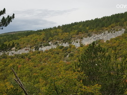  <a style='color: #fff;' href='/uploaded/photo/combe-de-canaud-flassans-635cd2fece830.jpg'>(Télécharger)</a>