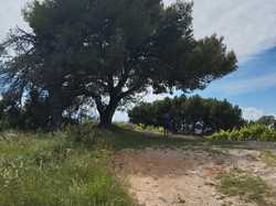  <a style='color: #fff;' href='/uploaded/photo/de-mirabel-y-beaulieu-66599935796d0.jpg'>(Télécharger)</a>