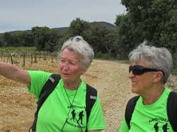  <a style='color: #fff;' href='/uploaded/photo/de-rousset-les-vignes-a-st-pantaleon-644bf2e8ddcd8.jpg'>(Télécharger)</a>