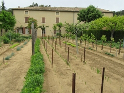  <a style='color: #fff;' href='/uploaded/photo/de-rousset-les-vignes-a-st-pantaleon-644bf30f1de3b.jpg'>(Télécharger)</a>