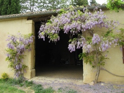  <a style='color: #fff;' href='/uploaded/photo/de-rousset-les-vignes-a-st-pantaleon-644bf31420a38.jpg'>(Télécharger)</a>