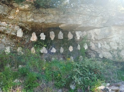  <a style='color: #fff;' href='/uploaded/photo/de-venasque-au-beaucet-6426d14a76da6.jpg'>(Télécharger)</a>