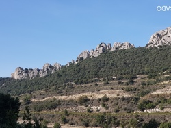  <a style='color: #fff;' href='/uploaded/photo/dentelles-de-montmirail-635cd1887a49f.jpg'>(Télécharger)</a>