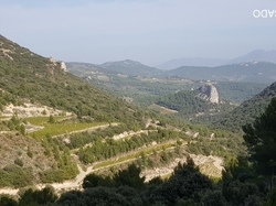  <a style='color: #fff;' href='/uploaded/photo/dentelles-de-montmirail-635cd188e89d8.jpg'>(Télécharger)</a>