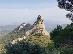  <a style='color: #fff;' href='/uploaded/photo/dentelles-de-montmirail-635cd18aaa7c7.jpg'>(Télécharger)</a>