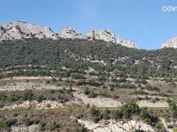  <a style='color: #fff;' href='/uploaded/photo/dentelles-de-montmirail-635cd18ad48aa.jpg'>(Télécharger)</a>