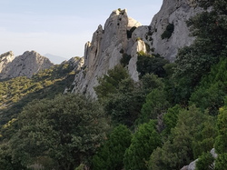 mini_dentelles-de-montmirail-635cd18b05eb0.jpg
