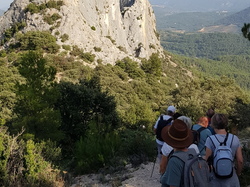  <a style='color: #fff;' href='/uploaded/photo/dentelles-de-montmirail-635cd18c36596.jpg'>(Télécharger)</a>