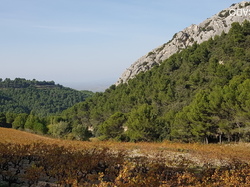  <a style='color: #fff;' href='/uploaded/photo/dentelles-de-montmirail-635cd18d5a2c9.jpg'>(Télécharger)</a>