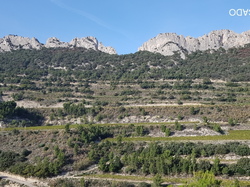  <a style='color: #fff;' href='/uploaded/photo/dentelles-de-montmirail-635cd18e347a7.jpg'>(Télécharger)</a>