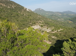  <a style='color: #fff;' href='/uploaded/photo/dentelles-de-montmirail-635cd18edb004.jpg'>(Télécharger)</a>