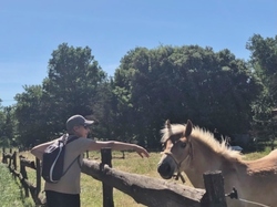  <a style='color: #fff;' href='/uploaded/photo/dr-chamaret-y-grignan-6839ba4e20b5b.jpg'>(Télécharger)</a>