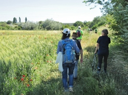  <a style='color: #fff;' href='/uploaded/photo/dr-chamaret-y-grignan-6839ba5807b39.jpg'>(Télécharger)</a>