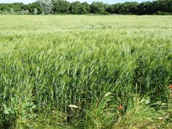  <a style='color: #fff;' href='/uploaded/photo/dr-chamaret-y-grignan-6839ba58aa3a6.jpg'>(Télécharger)</a>