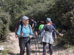  <a style='color: #fff;' href='/uploaded/photo/entrechaux-662b6275cb7c9.jpg'>(Télécharger)</a>