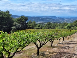  <a style='color: #fff;' href='/uploaded/photo/entrechaux-662b627771260.jpg'>(Télécharger)</a>