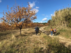  <a style='color: #fff;' href='/uploaded/photo/entrechaux-692492f112588.jpg'>(Télécharger)</a>