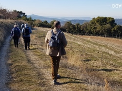  <a style='color: #fff;' href='/uploaded/photo/entrechaux-toulourenc-61f3eac269470.jpg'>(Télécharger)</a>