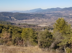  <a style='color: #fff;' href='/uploaded/photo/entrechaux-toulourenc-61f3eac2cc765.jpg'>(Télécharger)</a>