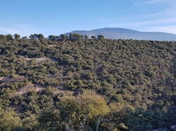  <a style='color: #fff;' href='/uploaded/photo/entrechaux-toulourenc-61f3eac2eef60.jpg'>(Télécharger)</a>