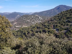  <a style='color: #fff;' href='/uploaded/photo/entrechaux-toulourenc-61f3eac363602.jpg'>(Télécharger)</a>