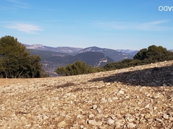  <a style='color: #fff;' href='/uploaded/photo/entrechaux-toulourenc-61f3eac415b7c.jpg'>(Télécharger)</a>