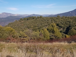  <a style='color: #fff;' href='/uploaded/photo/entrechaux-toulourenc-61f3eac729a0d.jpg'>(Télécharger)</a>