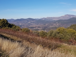  <a style='color: #fff;' href='/uploaded/photo/entrechaux-toulourenc-61f3eac793c00.jpg'>(Télécharger)</a>